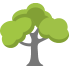 Davenport Tree Trimming