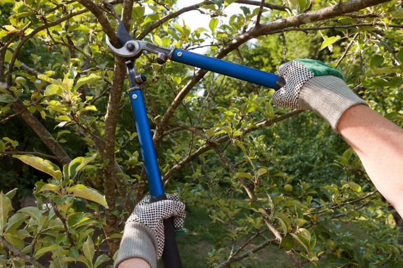 Limb Pruning