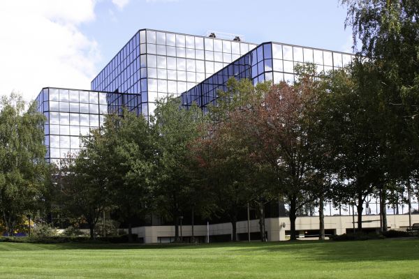 Commercial Tree Trimming in Davenport
